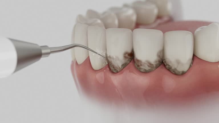 Reliable Dental contractor in Nekoosa, WI by Dentist Open Now